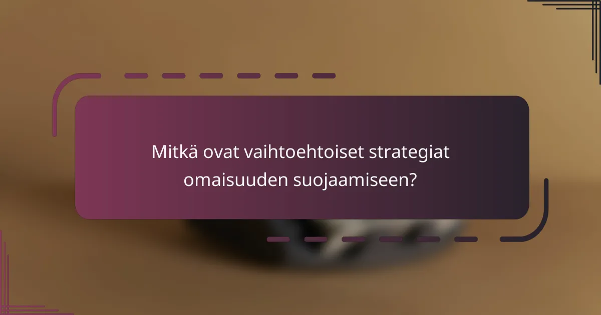 Mitkä ovat vaihtoehtoiset strategiat omaisuuden suojaamiseen?